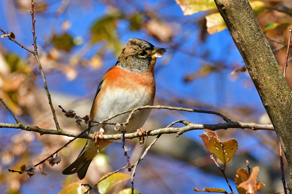 🏞️ 와타라세 유수지 이미지 8